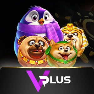 Vplus - BIROPAY28