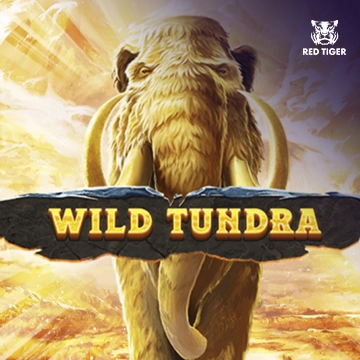 Wild Tundra - BIROPAY28